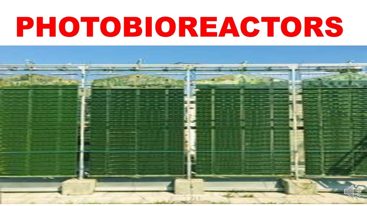 Algae Protein Cultivation Systems & Technology