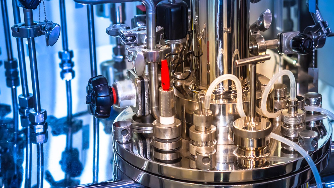 Cultivated Meat: From Lab to Table