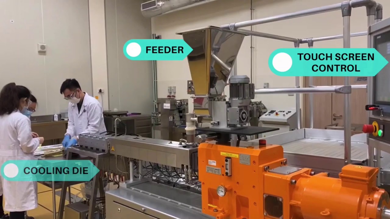 Plant-Based Protein Extrusion: Process & Equipment Guide